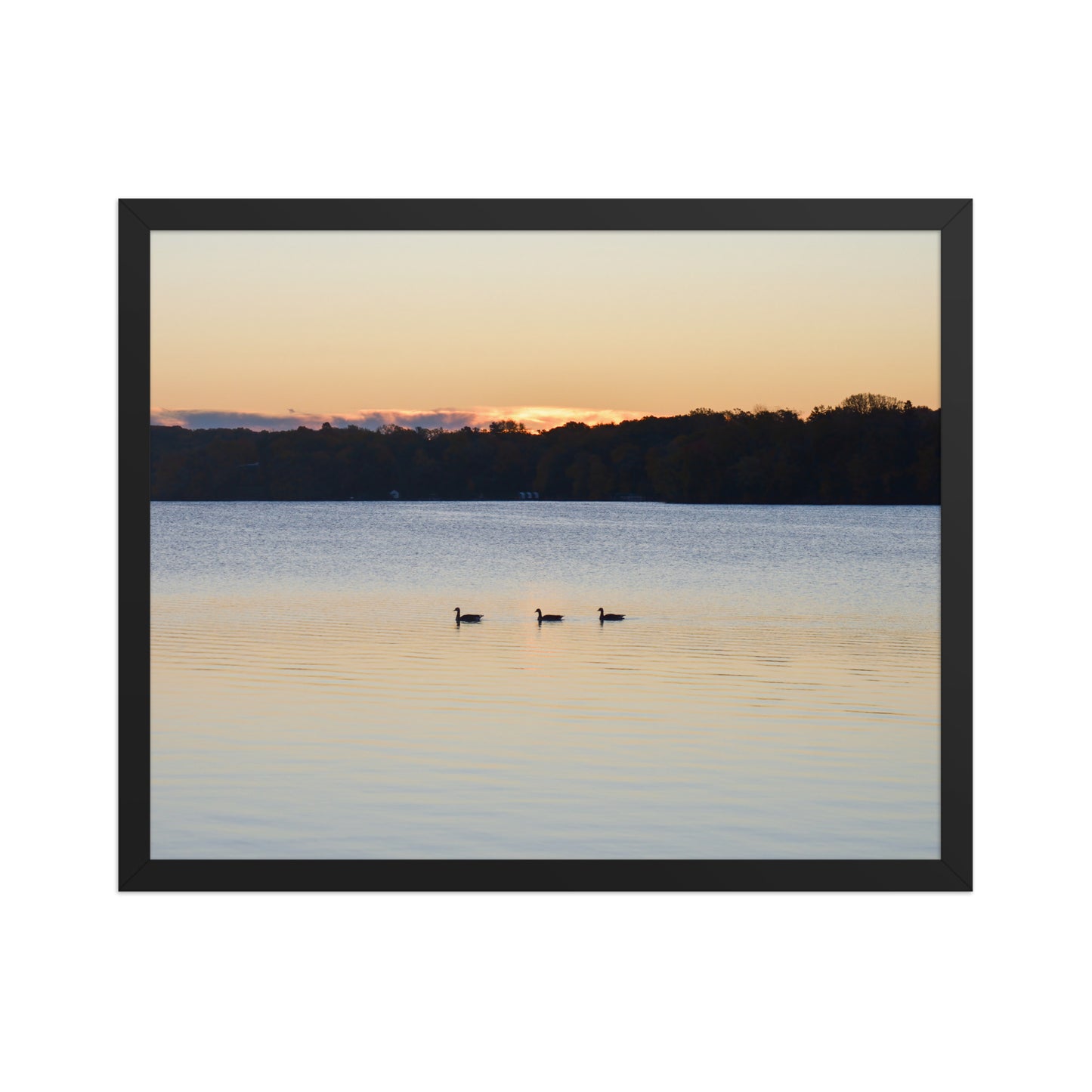 Geese at Sunrise