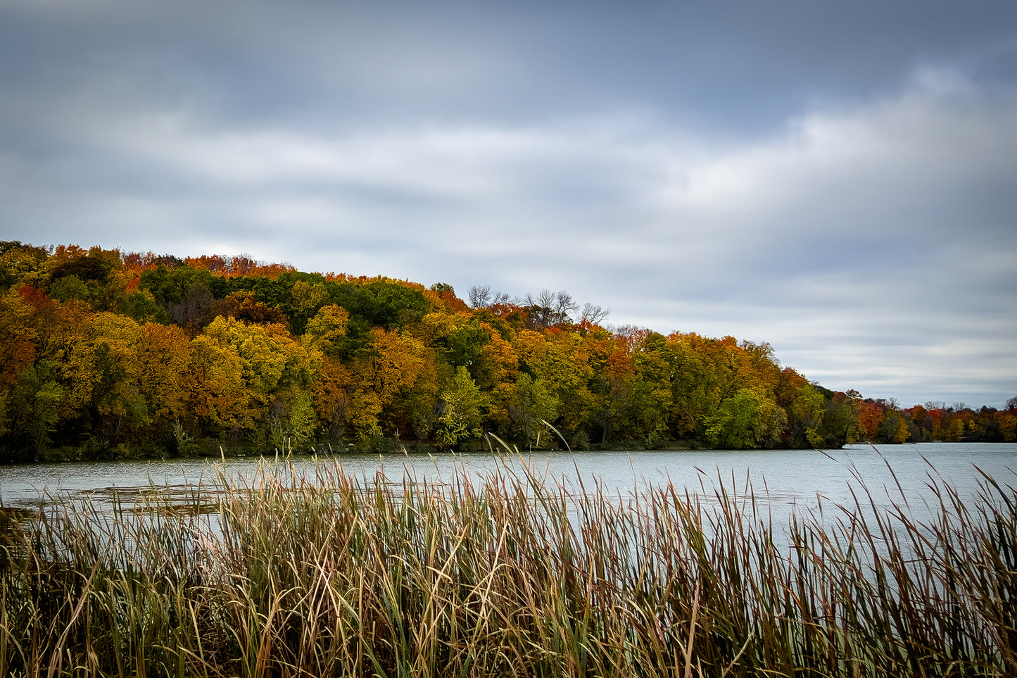 Autumn Shoreline