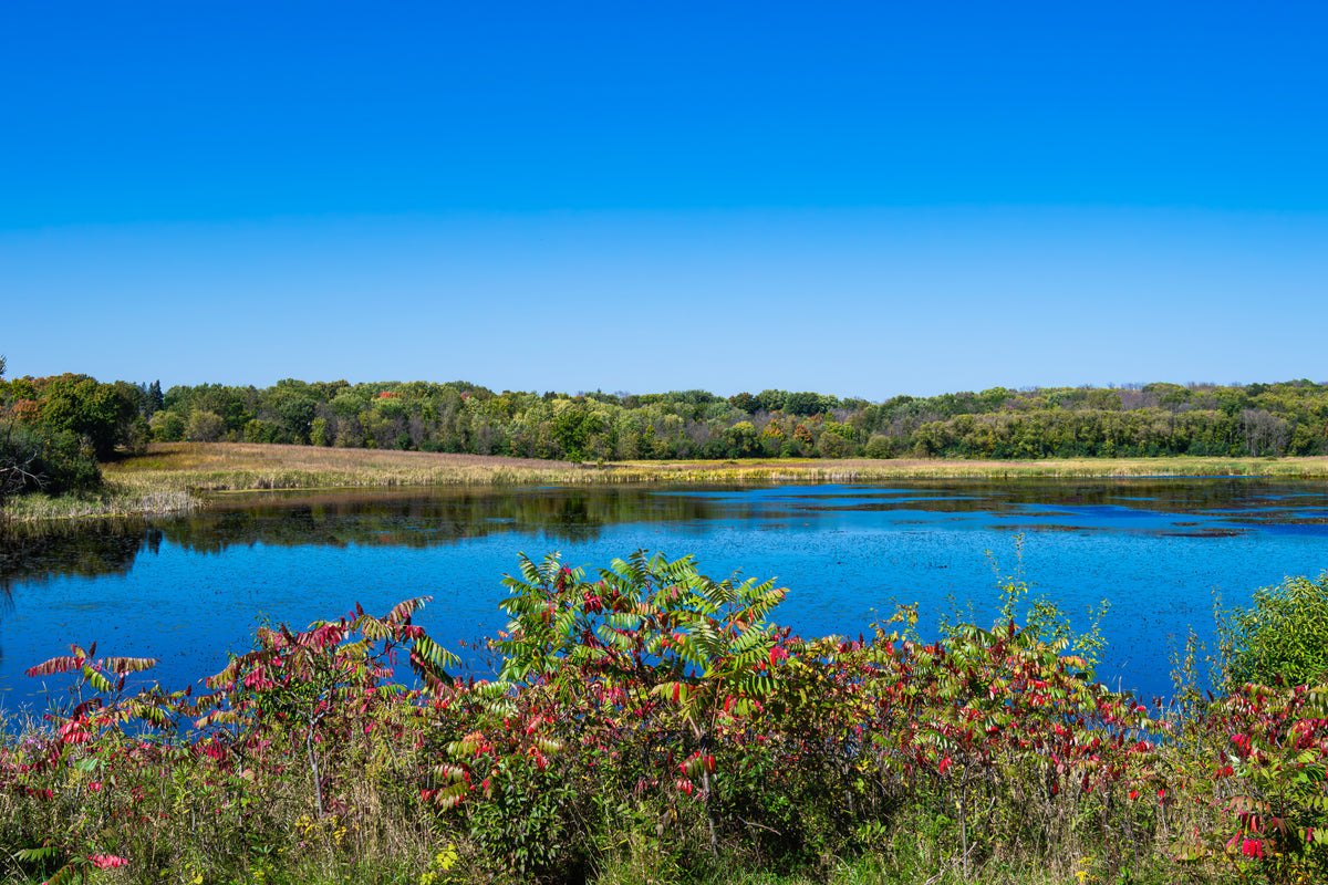 Early Fall Shallow Lake