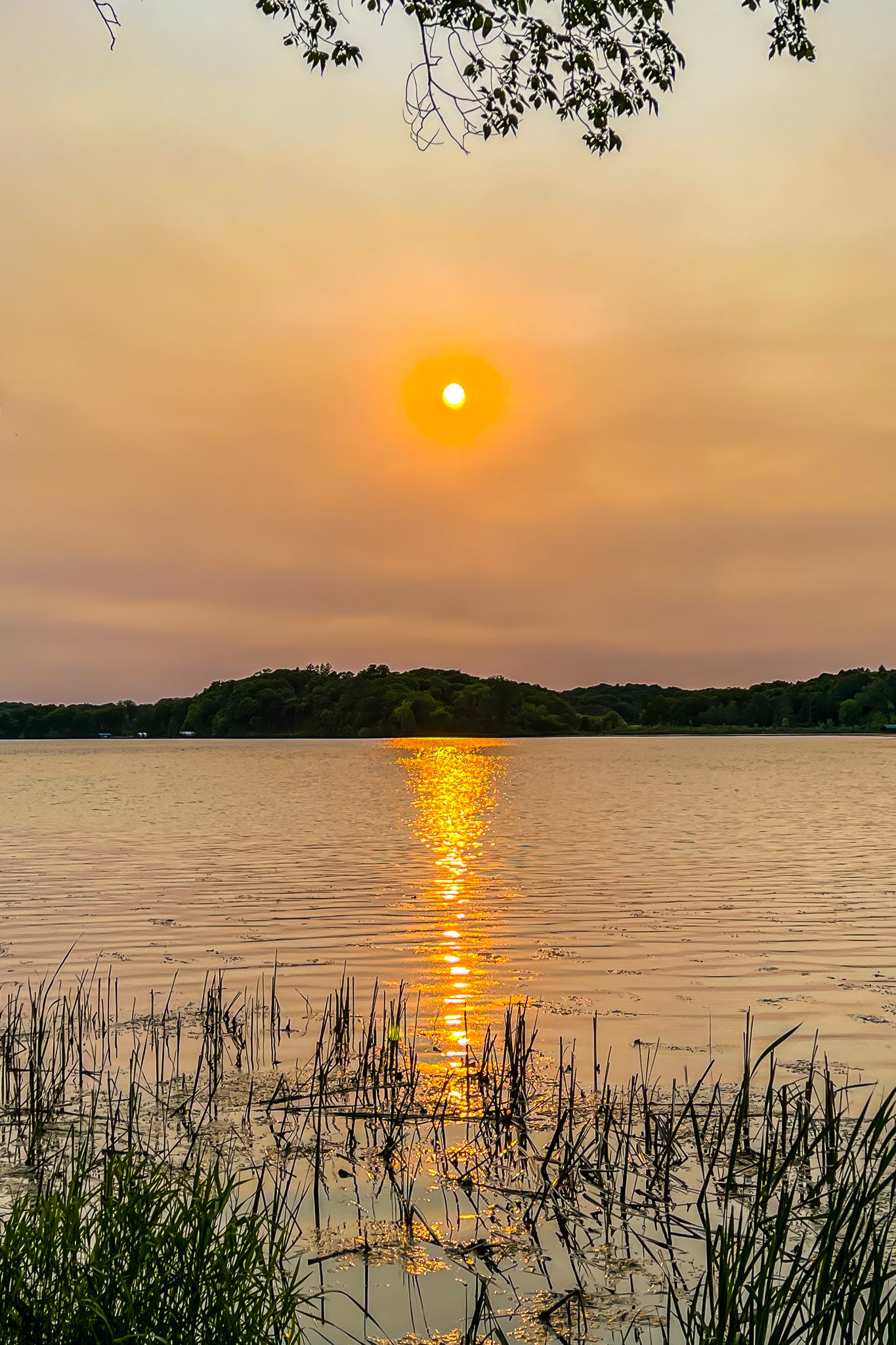 Hazy Golden Hour
