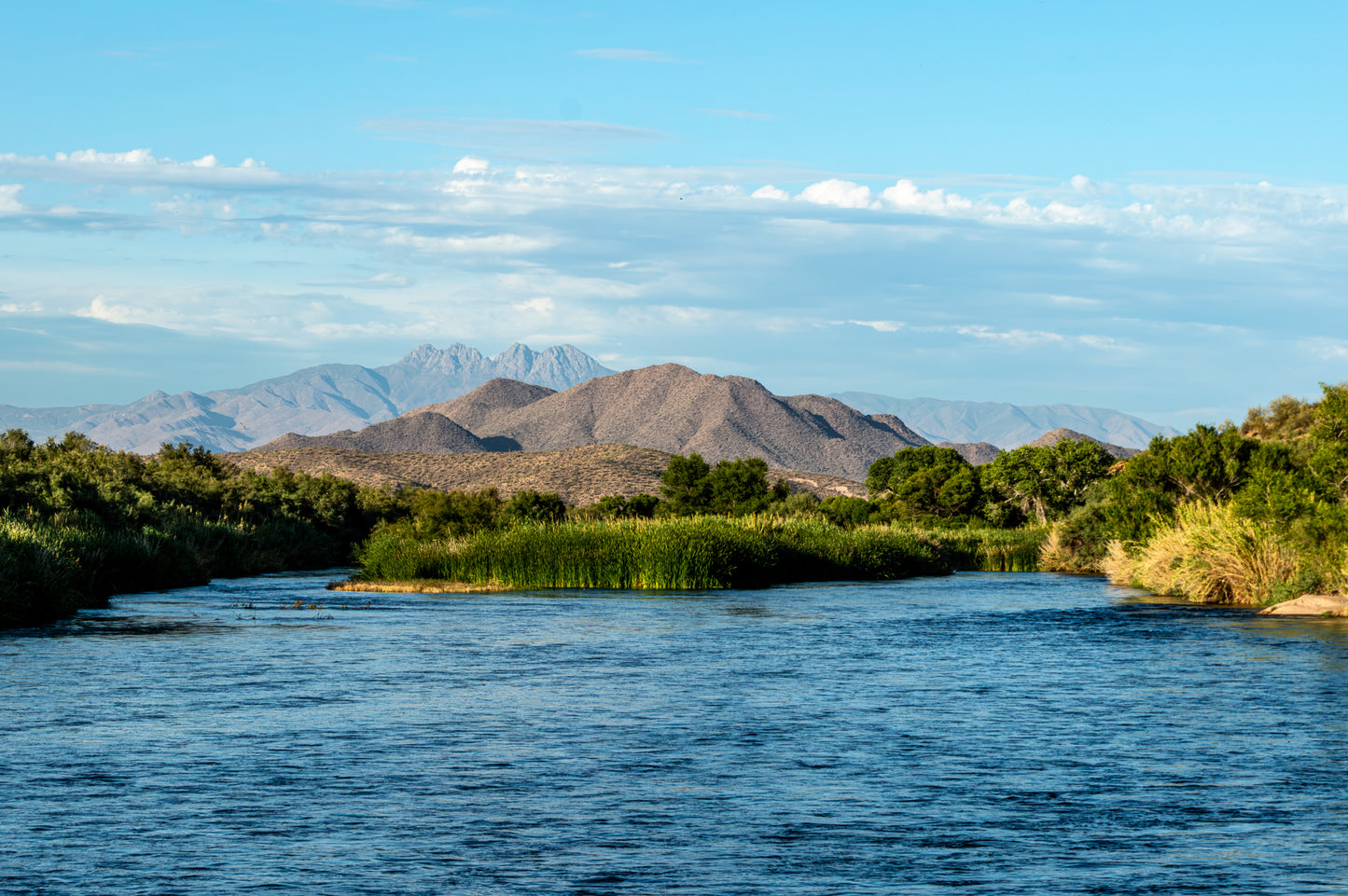 Salt River Oasis