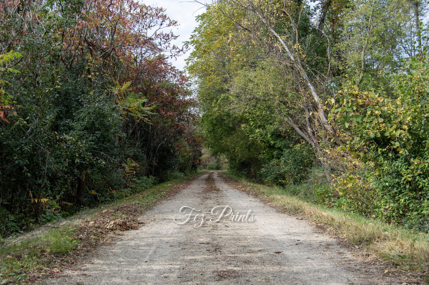 Autumn Trail 2