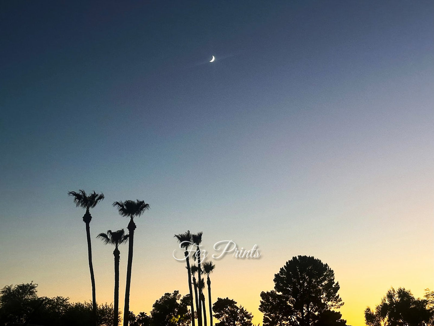 Desert Crescent Moon