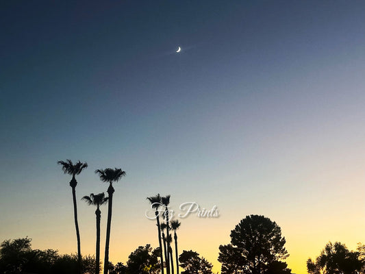 Desert Crescent Moon
