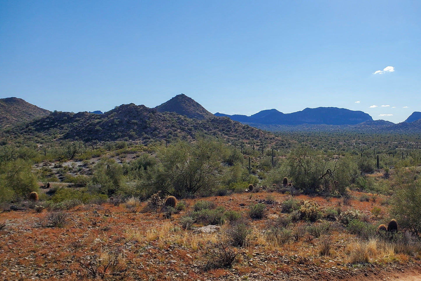 Desertscape 4