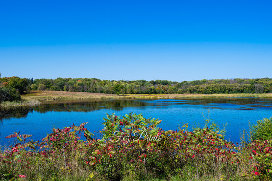Early Fall Marsh