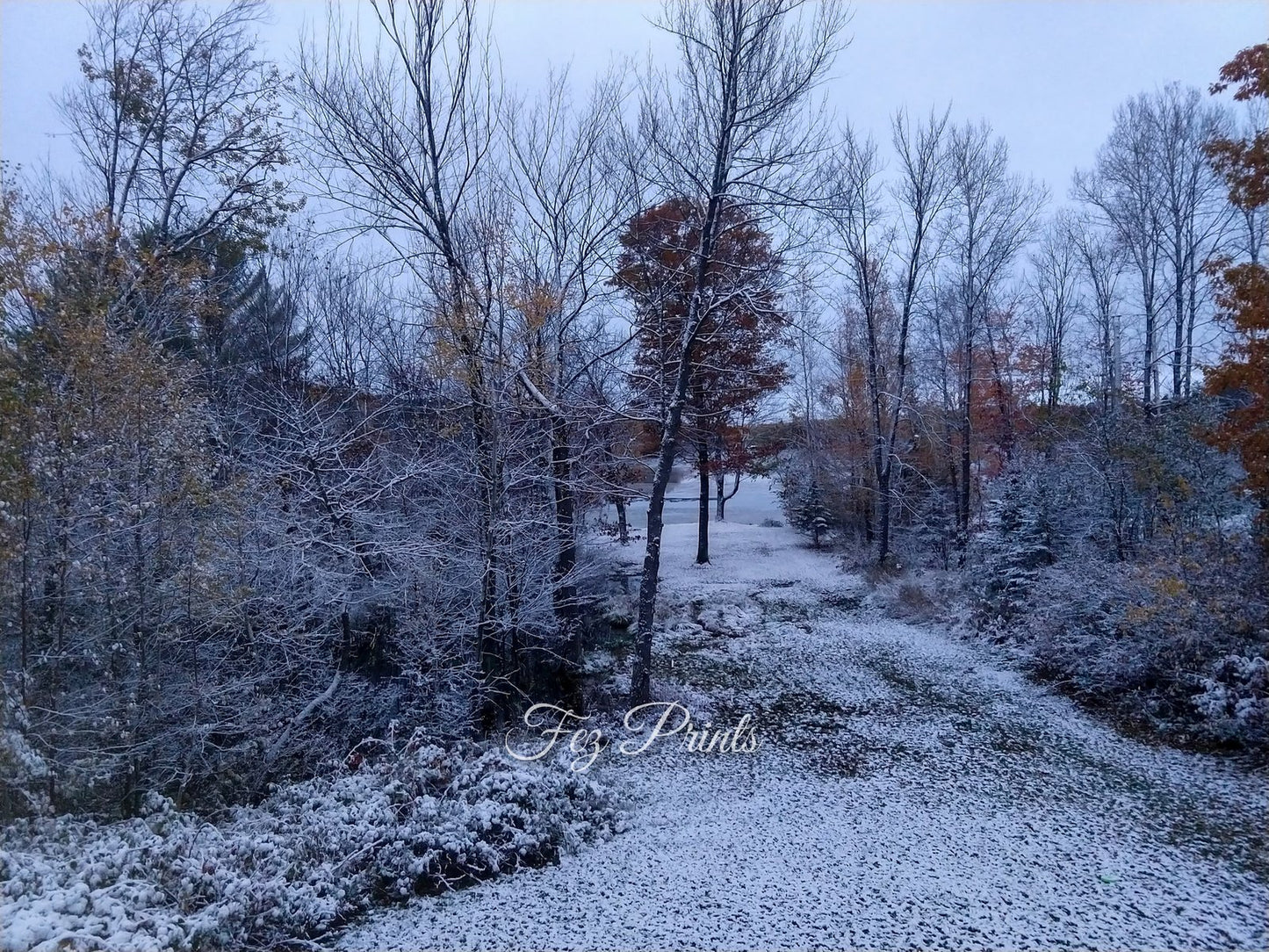 First Snow Fall