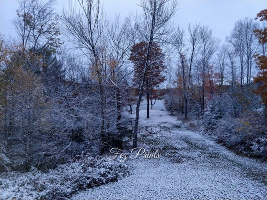 First Snow Fall