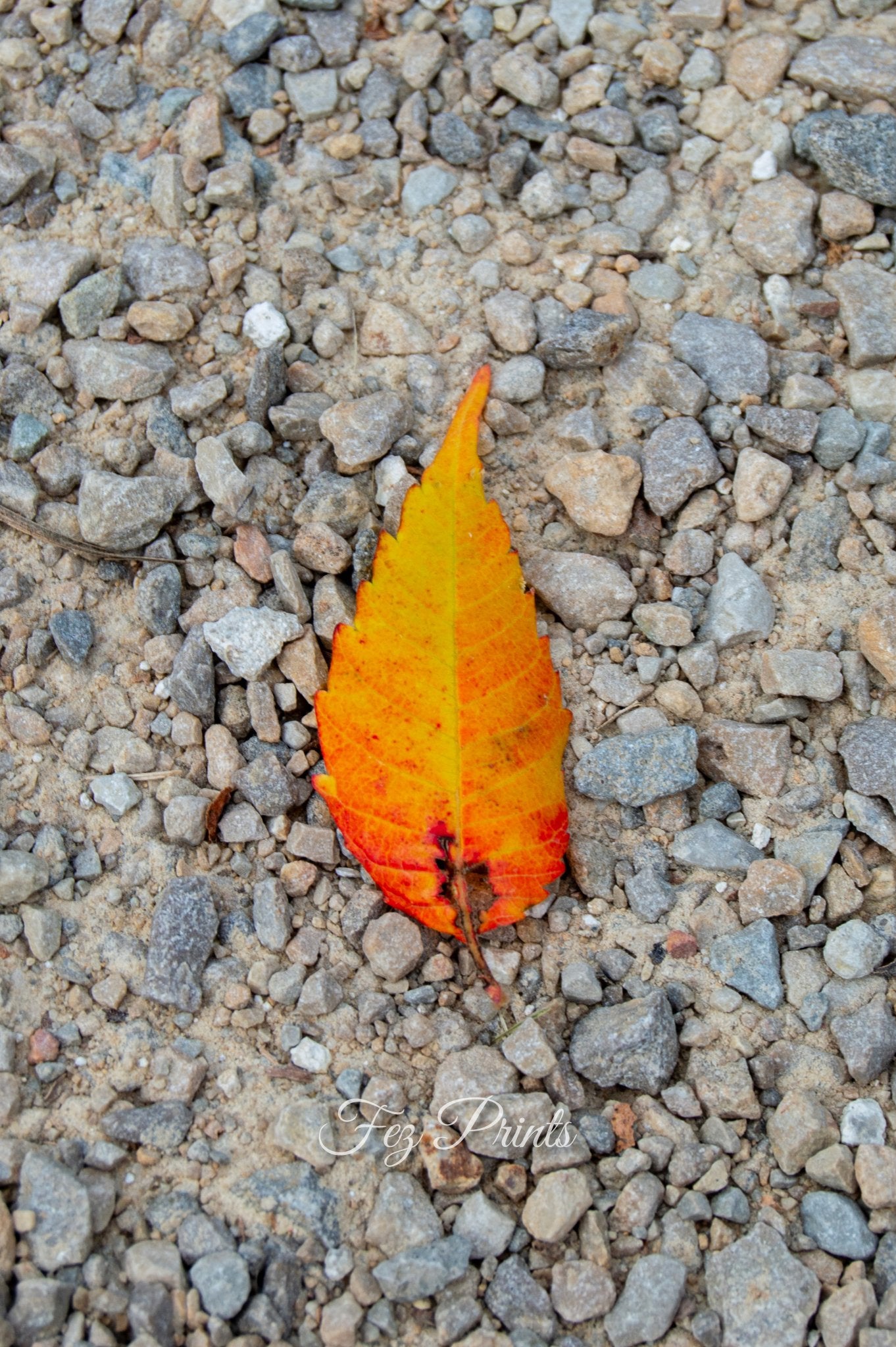 Flame Leaf