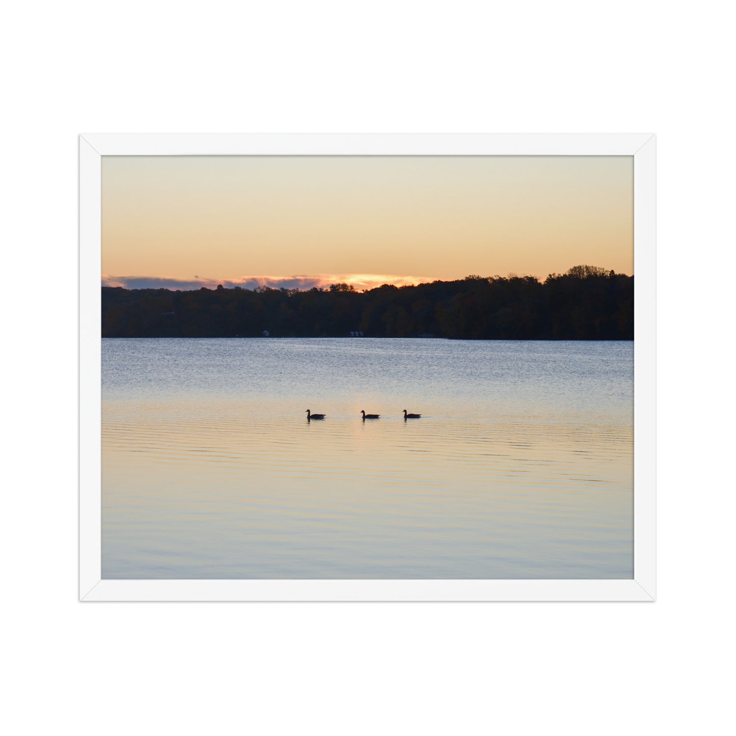Geese at Sunrise