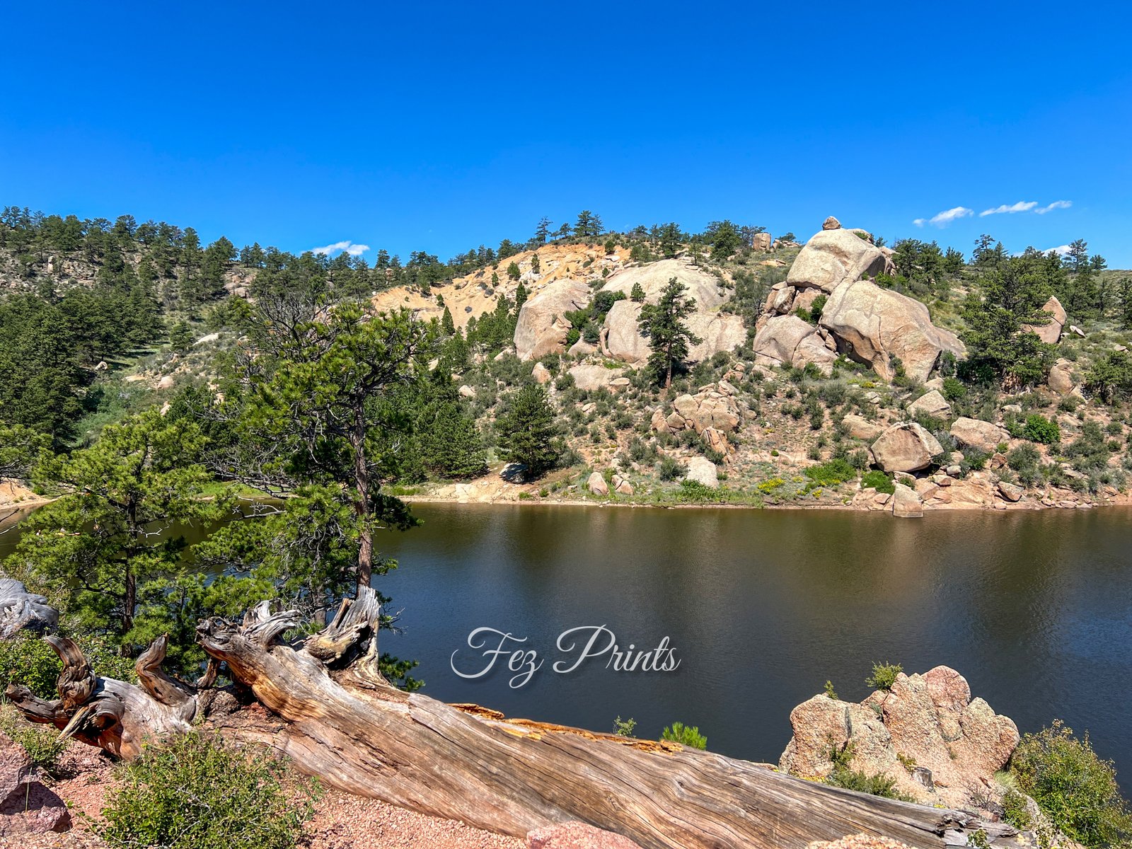 Lake Bluff