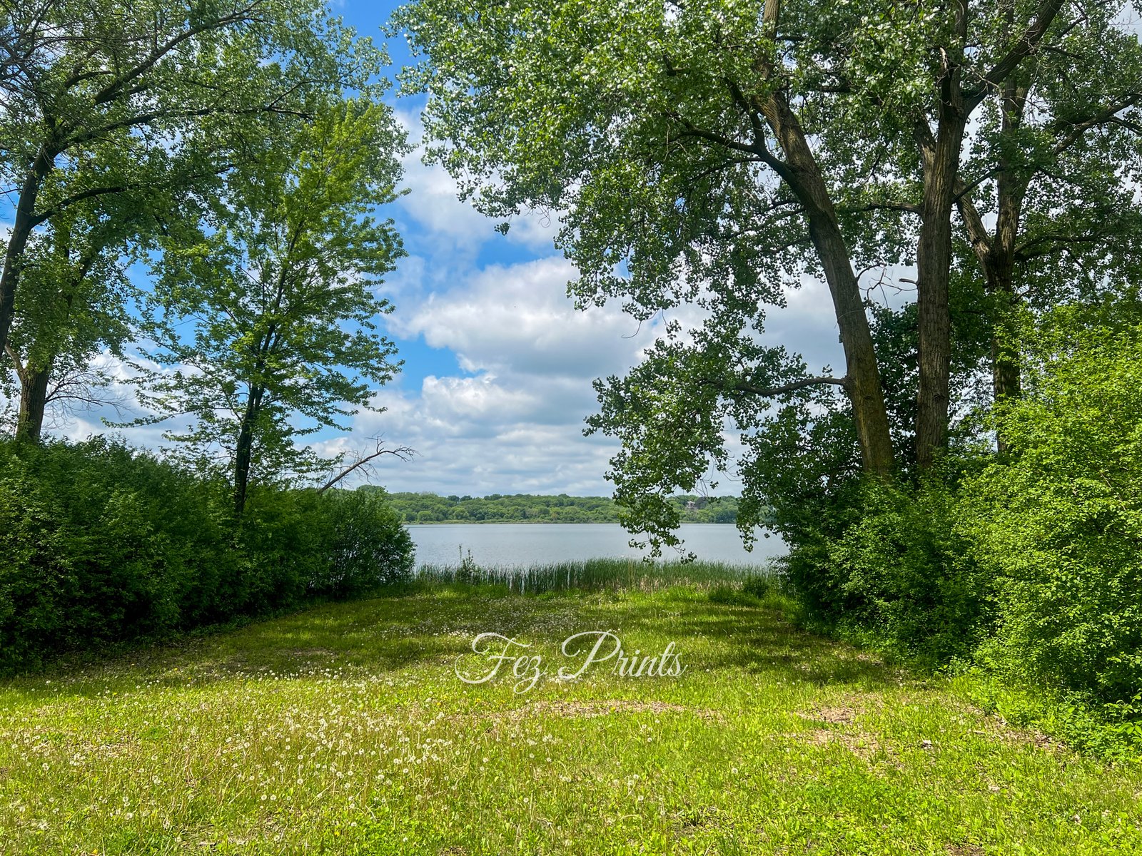 Lake View