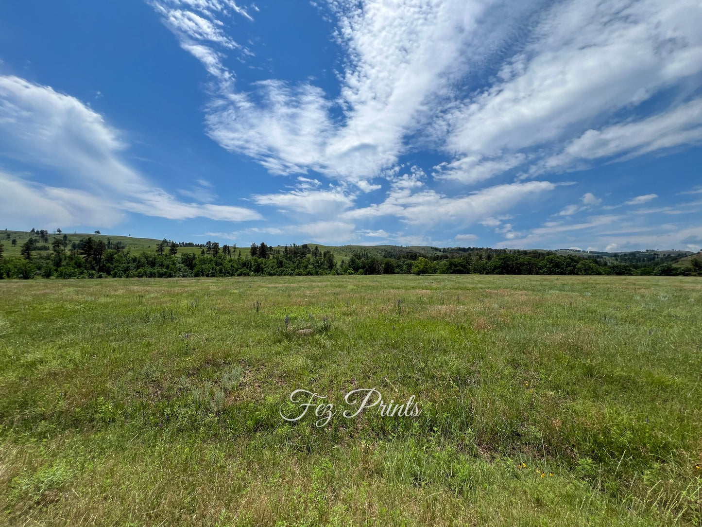 Open Space in Wyoming