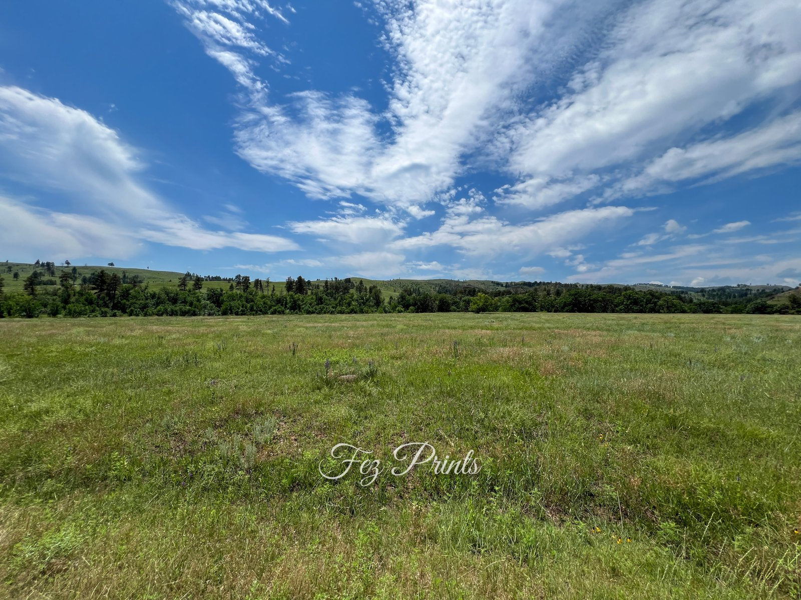 Open Space in Wyoming