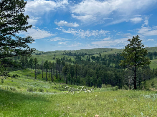 Open Space in Wyoming