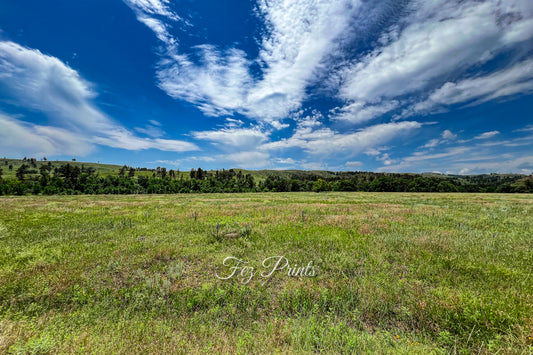 Open Spaces 1