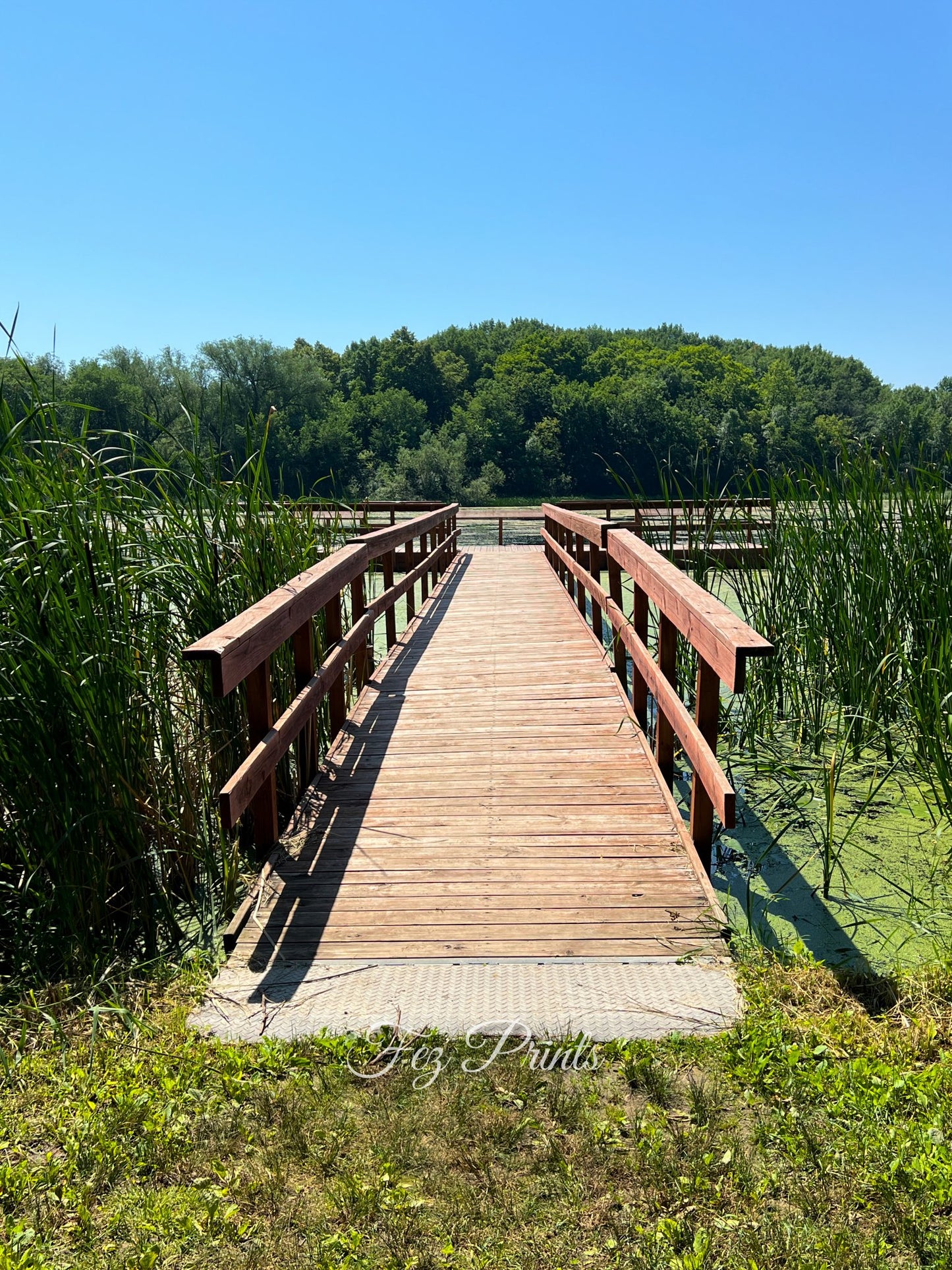 Pond Dock