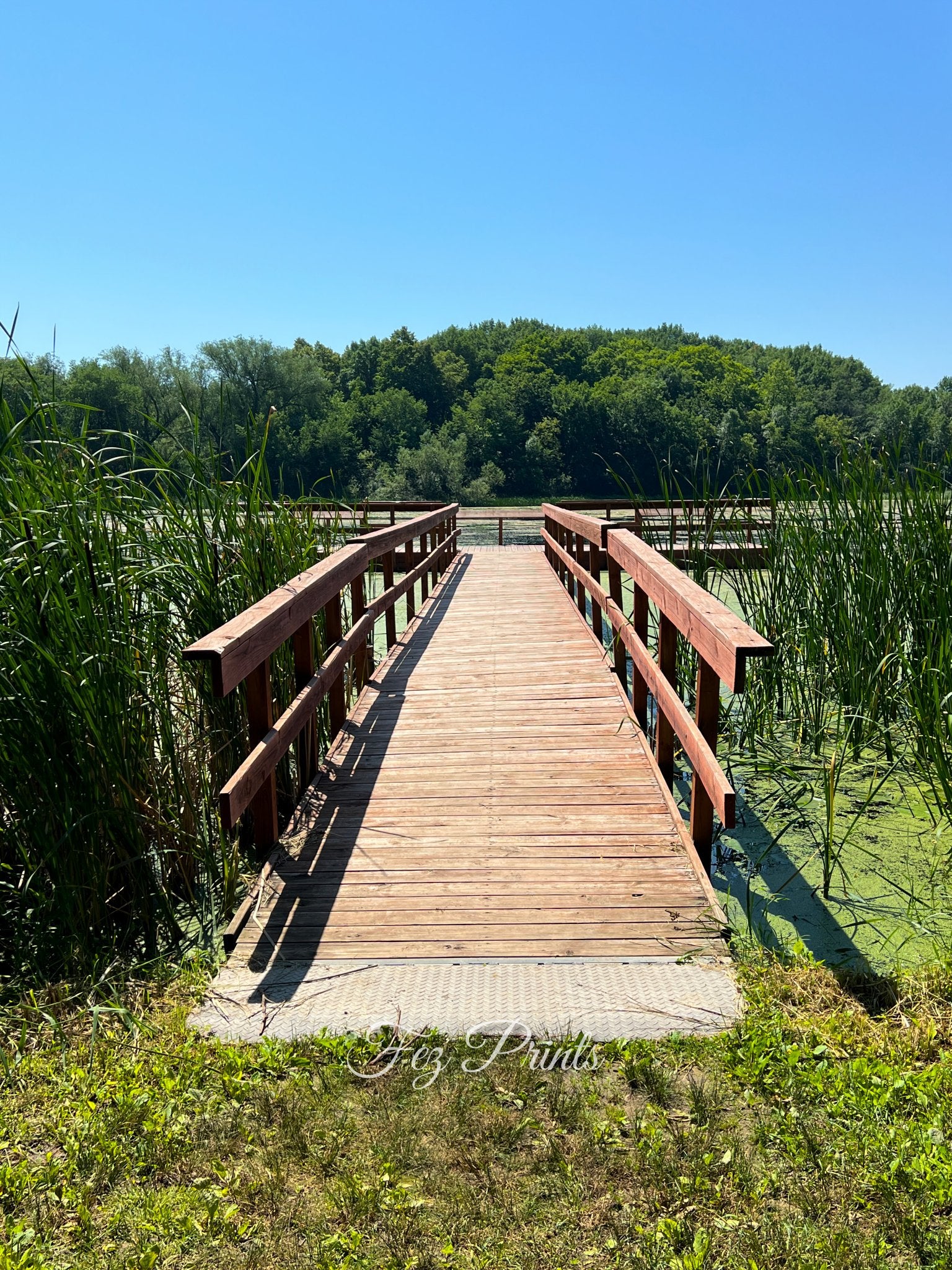 Pond Dock