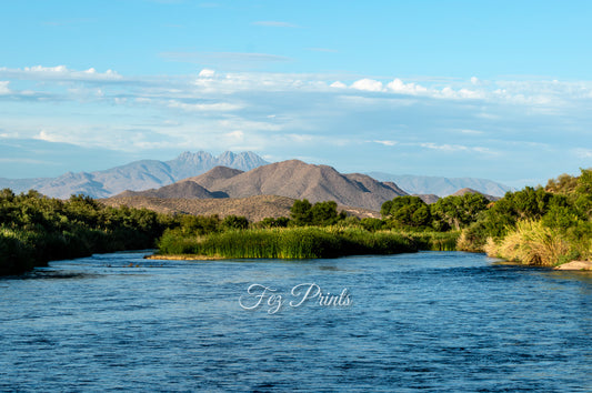 Salt River Oasis