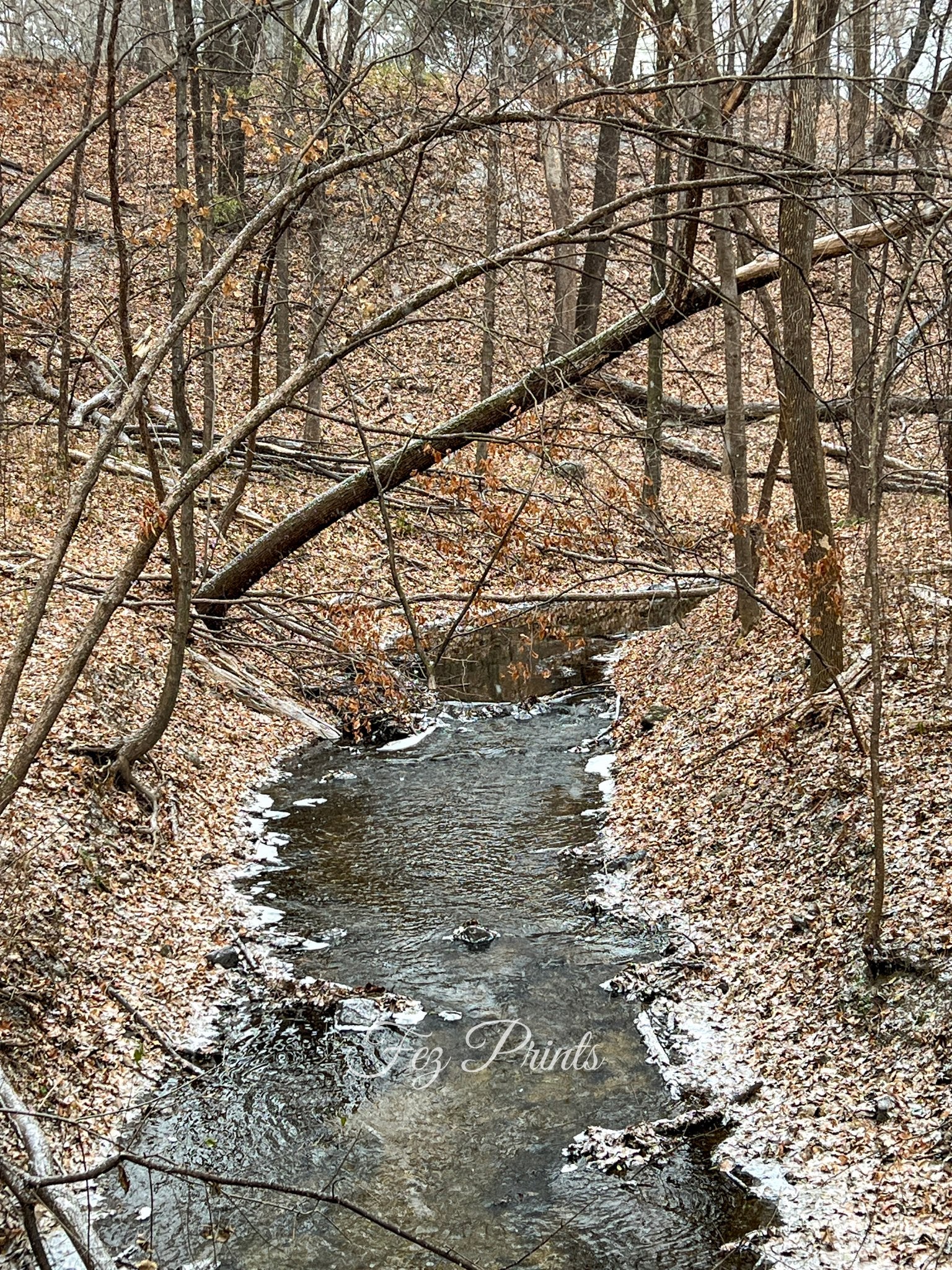 Snowy Creek
