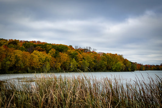 Autumn Shoreline