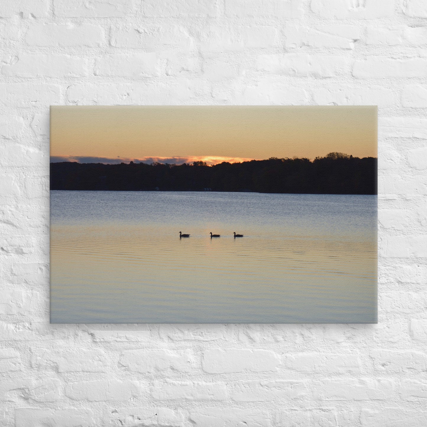 Geese at Sunrise