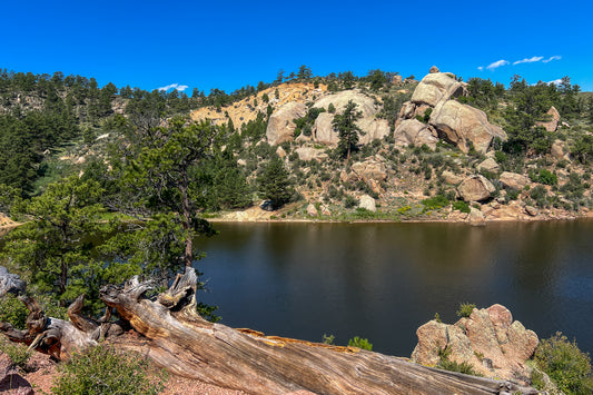 Lake Bluff