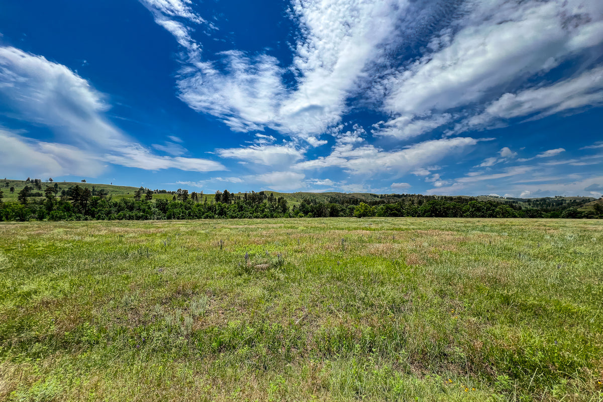 Open Spaces