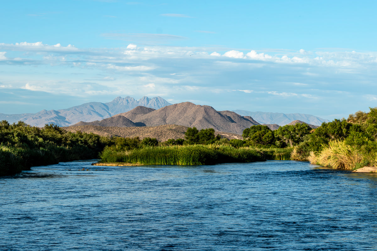 Salt River Oasis