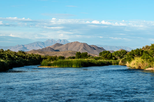 Salt River Oasis